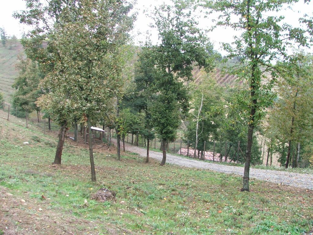 Agriturismo Cascina Aurora Acqui Terme Exterior foto