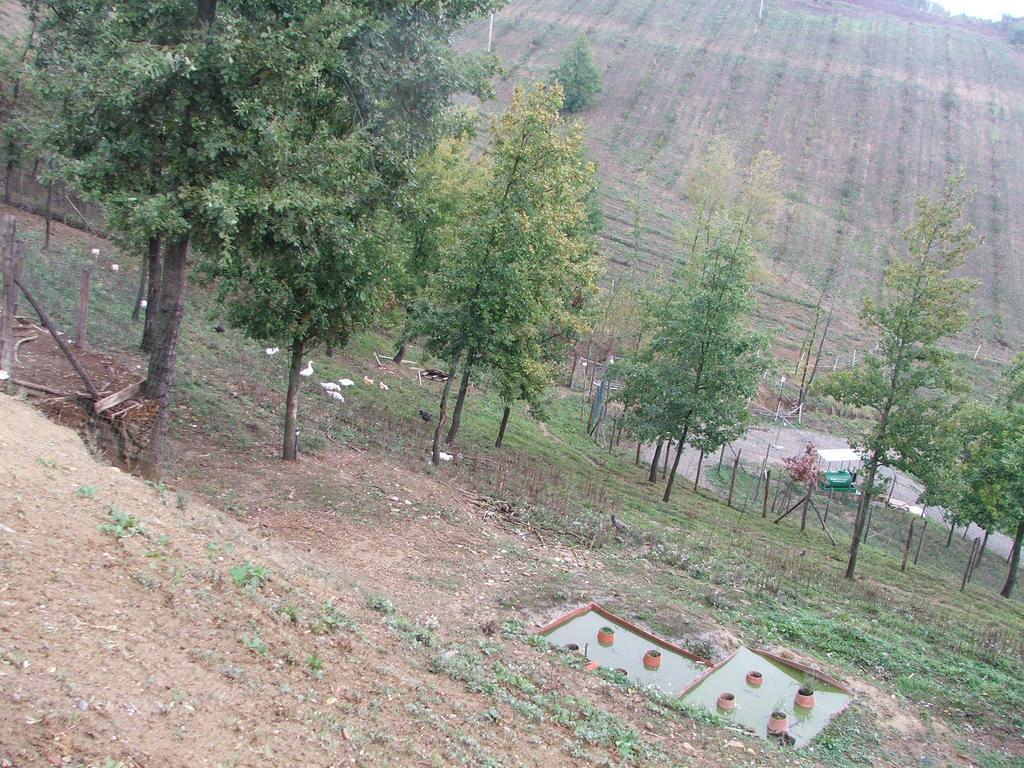 Agriturismo Cascina Aurora Acqui Terme Exterior foto