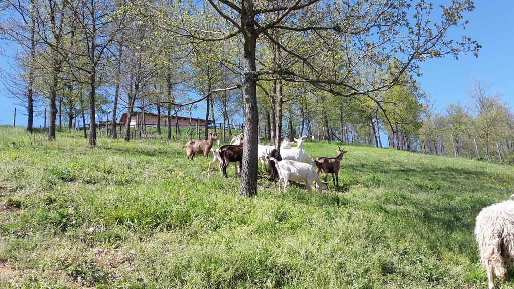 Agriturismo Cascina Aurora Acqui Terme Exterior foto